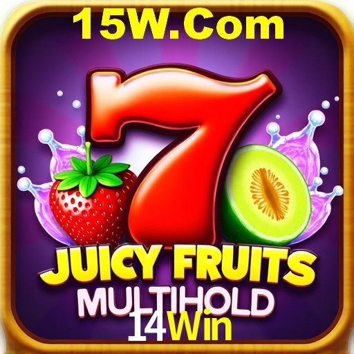 Interface Premium 14Win