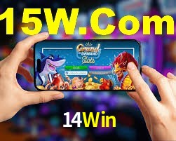 Platform Technology 14Win