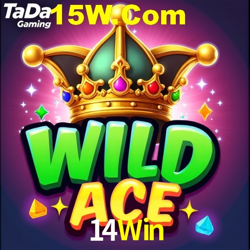 14Win App Interface